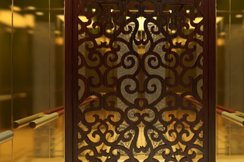 Home And Office Elevator With Sleek Panels In Abu Dhabi Uae